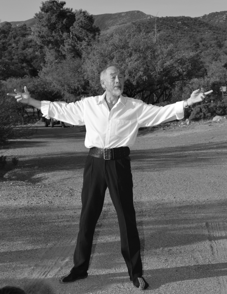 Le Qigong des Jingluo 