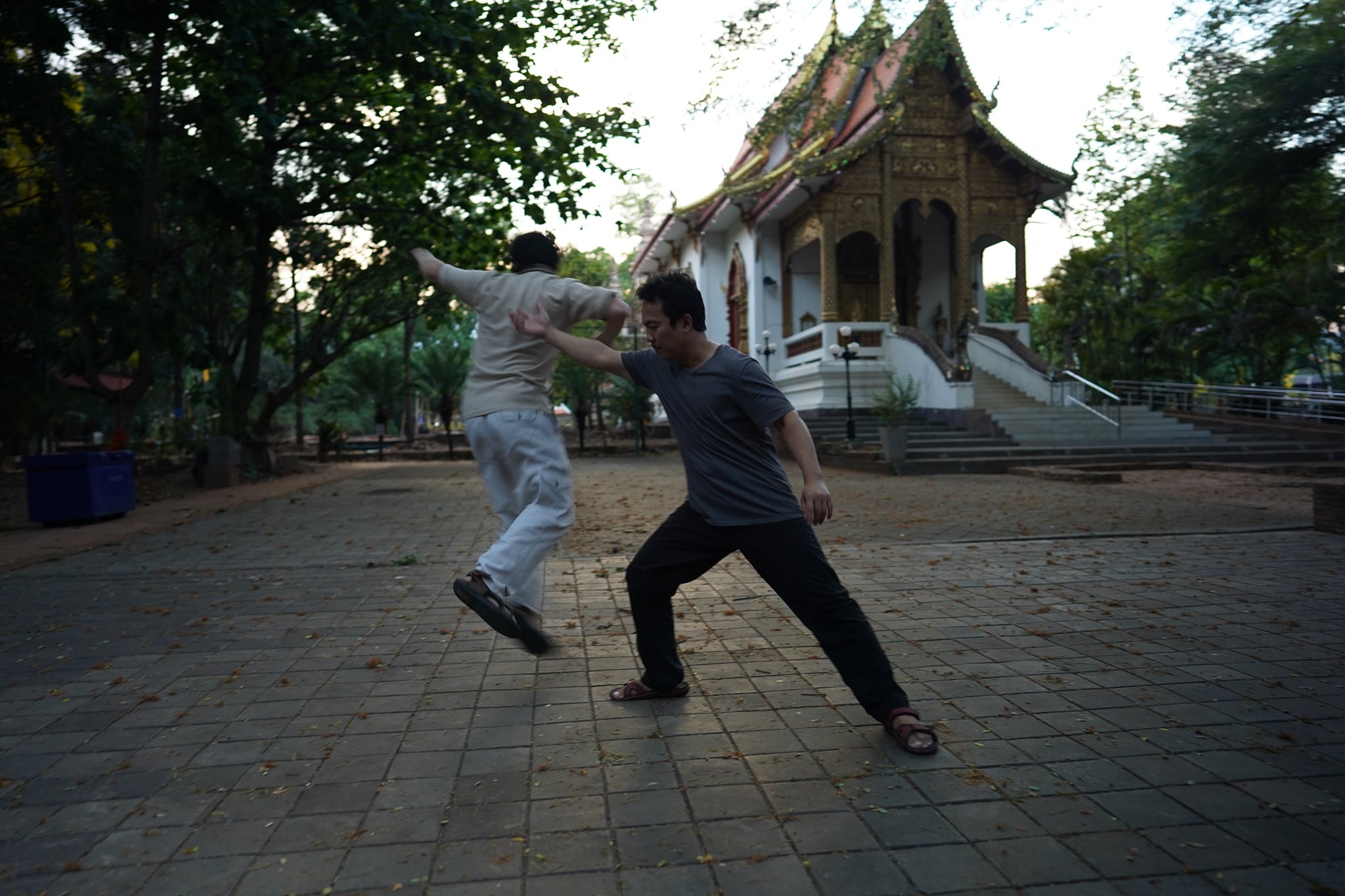 Yang style taiji push-hands